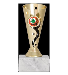 ODAK KUPA - Genel Kupalar - GN-064 A - 16 cm