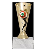 ODAK KUPA - Genel Kupalar - GN-064 A - 16 cm