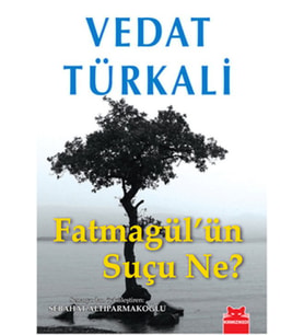 Fatmagül'ün Suçu Ne?