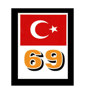 Türkiye Bayraklı Bayburt 69 Plaka Kodu Ön Cam Sticker