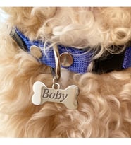SAKS MAVİSİ RENK İSİMLİ KEMİK MODEL KÖPEK TASMASI