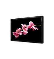 Pembe Çiçek Çerçeveli Mdf Tablo