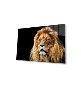 Aslan Cam Tablo 4mm Dayanıklı Temperli Cam (Çok Renkli)
