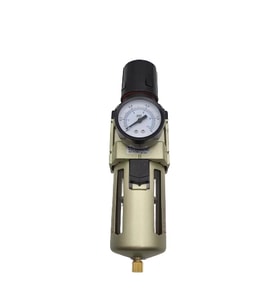 Filtre Regülatör Ew 5000 - 1"