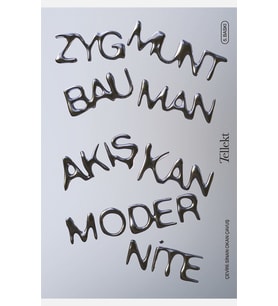 Akışkan Modernite