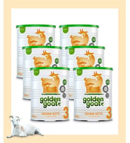 Golden Goat Keçi Devam Sütü 3 Numara 400 gr 6'lı Paket
