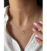 Kişiye Özel 925 Ayar Gümüş Örümcek Model Kolye (Gold)