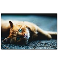 Cakatablo Yerde Yatan Oyuncu Sarman Kedi MDF Tablo