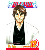 Bleach, Vol. 12: Flower On The Precipice