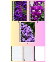 Menekşe 3 adet defter A4 büyük boy çizgili_kareli_çizgisiz