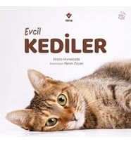 Evcil Kediler