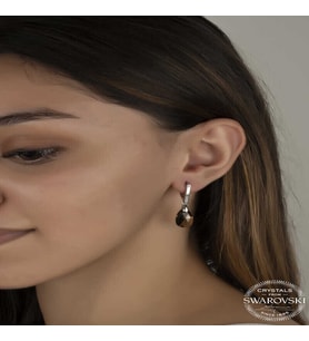S-warovski Crystal Taşlı Gümüş Damla Sallantılı Kadın Küpe