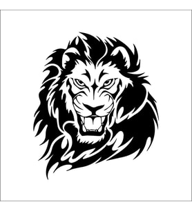 ASLAN FOLYO STİCKER 80cm Uzunluk