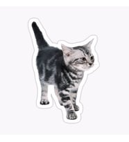 Araba Leptop için Kedi tekir Sticker Yapıştırması Etiket  17CM z8