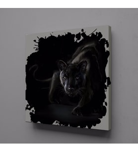 SİYAH ASLAN KANVAS TABLO 70x70cm (Karışık)