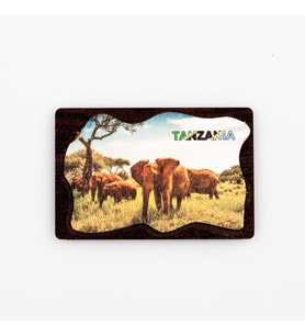 Tanzanya Temalı Deri Magnet Ahşap Tabaka (Karışık)