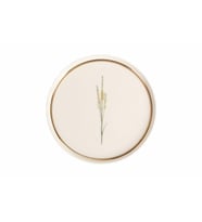 Porland Botanical Desen2 Düz Tabak 21 cm 04ALM005042