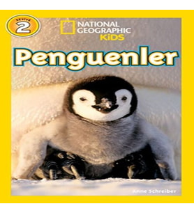 Penguenler