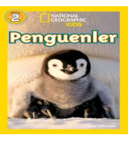 Penguenler