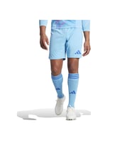 adidas T24 P Gk Sho Erkek Kaleci Şortu IN0452 Mavi