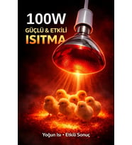 100W Isıtıcı Ampul Kırmızı Isı Lambası Civciv Kümes Kuluçka E27 Duy Isıtma Ampulü