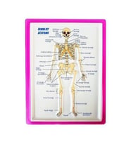 Kabartma İskelet Sistemi A4