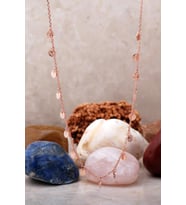 Pullu Rose Gümüş Choker Kolye 7242