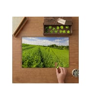 Nane Bahçesi - Doğa Yeşillik Tasarımı 240 parça Ahşap Puzzle Ahşap Kutuda MP04220