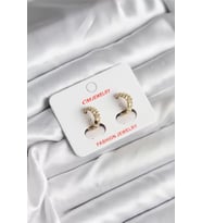 14K Gold Renk Kaplama CM Kadın Küpe - TJ-BKP11412