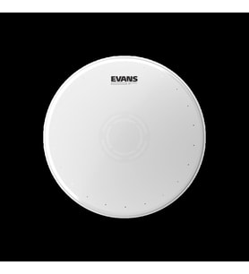 EVANS B14HWD Trampet Derisi