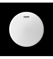 EVANS B14HWD Trampet Derisi