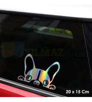 Bakan Köpek Hologram Oto Sticker Cam Araba Yapıştırma Çıkartma Aksesuar Modifiye 20 X 15 Cm