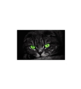 DBSanatevi Diablo Kedi Tablo 50 X 50 Cm