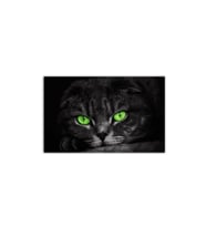 DBSanatevi Diablo Kedi Tablo 50 X 50 Cm