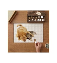 Kedi Köpek Arkadaşlığı Tasarımı 240 parça Ahşap Puzzle Ahşap Kutuda MP02584