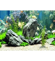 Kanki Pet KP5540034 Akvaryum Arka Fon Yapıştırma 55 x 40 CM