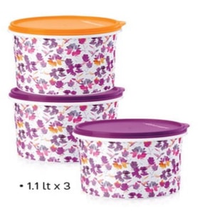 TUPPERWARE RENKLİ BUZDOLABI TAŞIMA VE SAKLAMA KABI 1.1 LT 3 LÜ SET