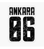 06 AMKARA Sticker Yapıştırma Oto Etiket 17cm