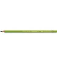 Faber Castell Polychromos Artist Kuru Boya Kalemi 170 May Green (Mayıs Yeşili) 