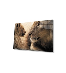 Aslan Cam Tablo 4mm Dayanıklı Temperli Cam (Çok Renkli)