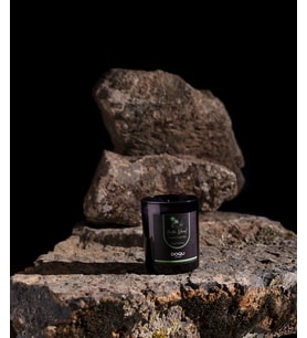 Exotic Island Kokulu Mum - 170 gr