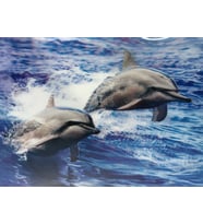 5D Elmas Boyama Sevimli Yunuslar İkili Yunus Resmi Tablosu 30x40 cm