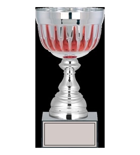ODAK KUPA - Large Kupalar - L-037 C - 24 cm