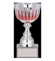 ODAK KUPA - Large Kupalar - L-037 C - 24 cm