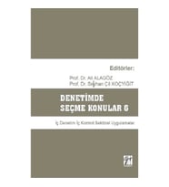 Denetimde Seçme Konular 6