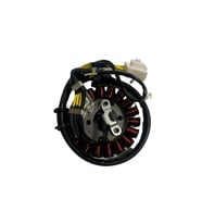 Honda Spacy Statör OEM EM