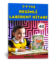 3-9 Yaş Resimli Labirent Kitabı (40 Seçilmiş Labirent)
