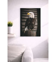 EAGLE19 TASARIM MDF TABLO (27X18)