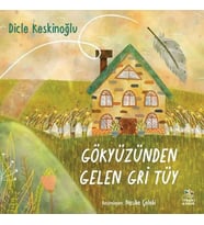 Gökyüzünden Gelen Gri Tüy