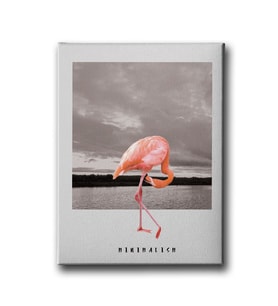 Flamingo Canvas Tablo MİND477